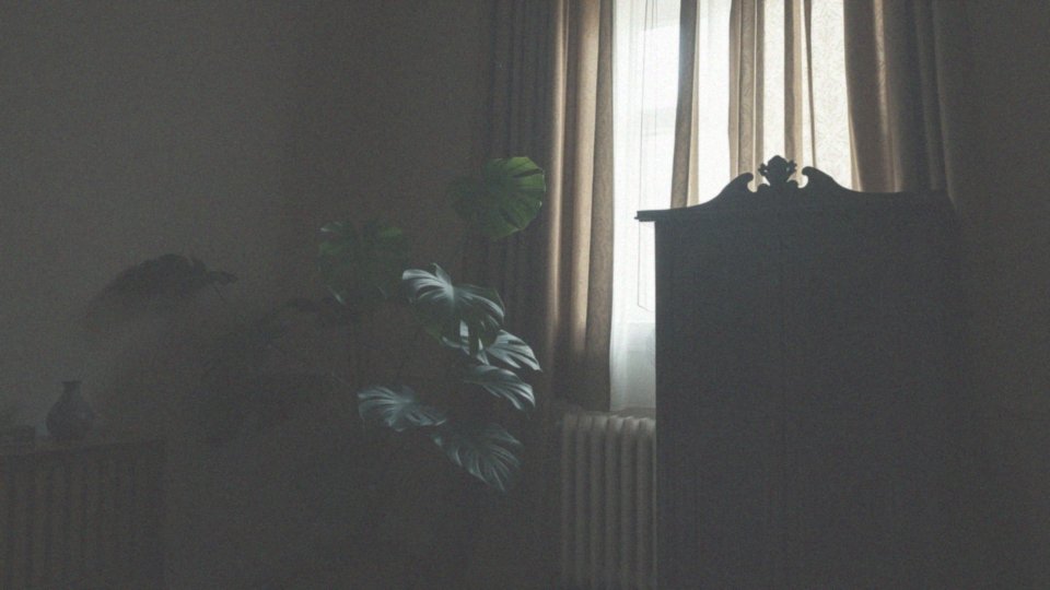 Jak monstera działa jak wampir energetyczny?
