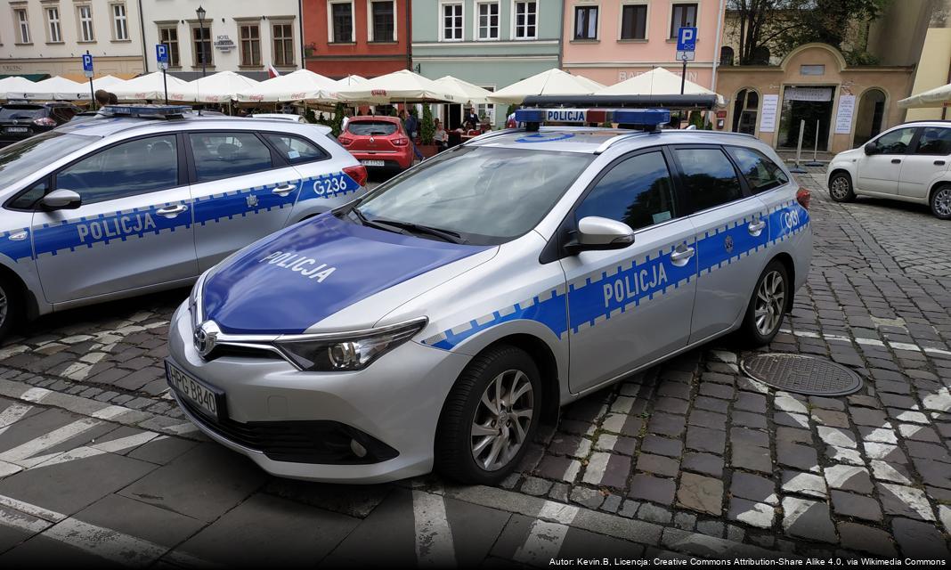 Wspólne ćwiczenia służb ratunkowych w Nietążkowie